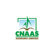 CNAAS